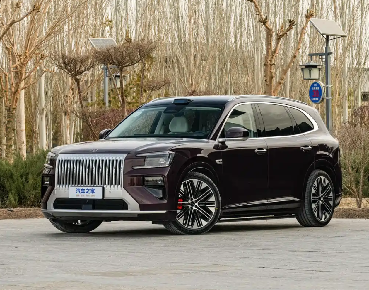 ZEEKR 8X, Luxury SUV